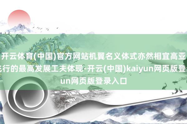 开云体育(中国)官方网站机翼名义体式亦然相宜高亚音速飞行的最高发展工夫体现-开云(中国)kaiyun