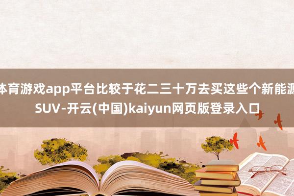 体育游戏app平台比较于花二三十万去买这些个新能源SUV-开云(中国)kaiyun网页版登录入口